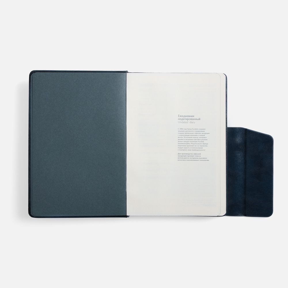 Ежедневник Leadmark, недатированный, синий / Миниатюра WWW (1000)