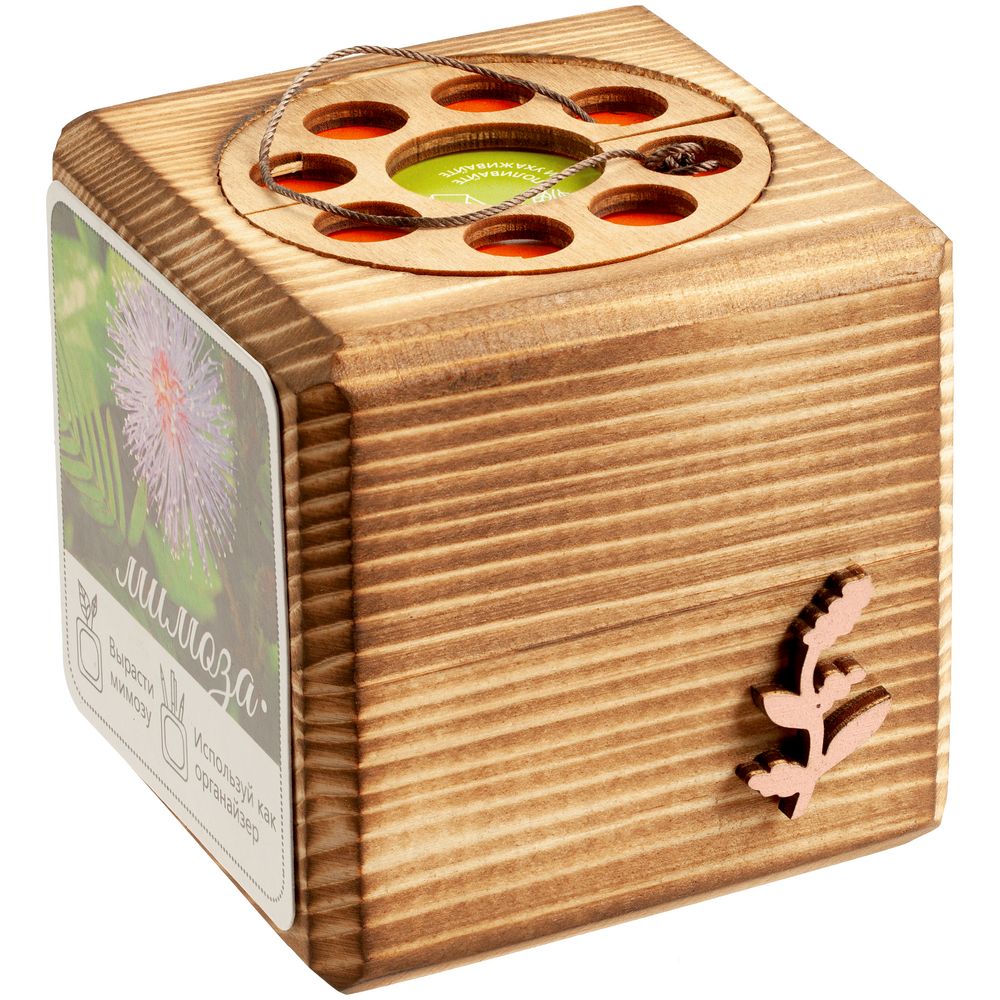 Набор для выращивания с органайзером «Экокуб Burn», мимоза / Миниатюра WWW (1000)