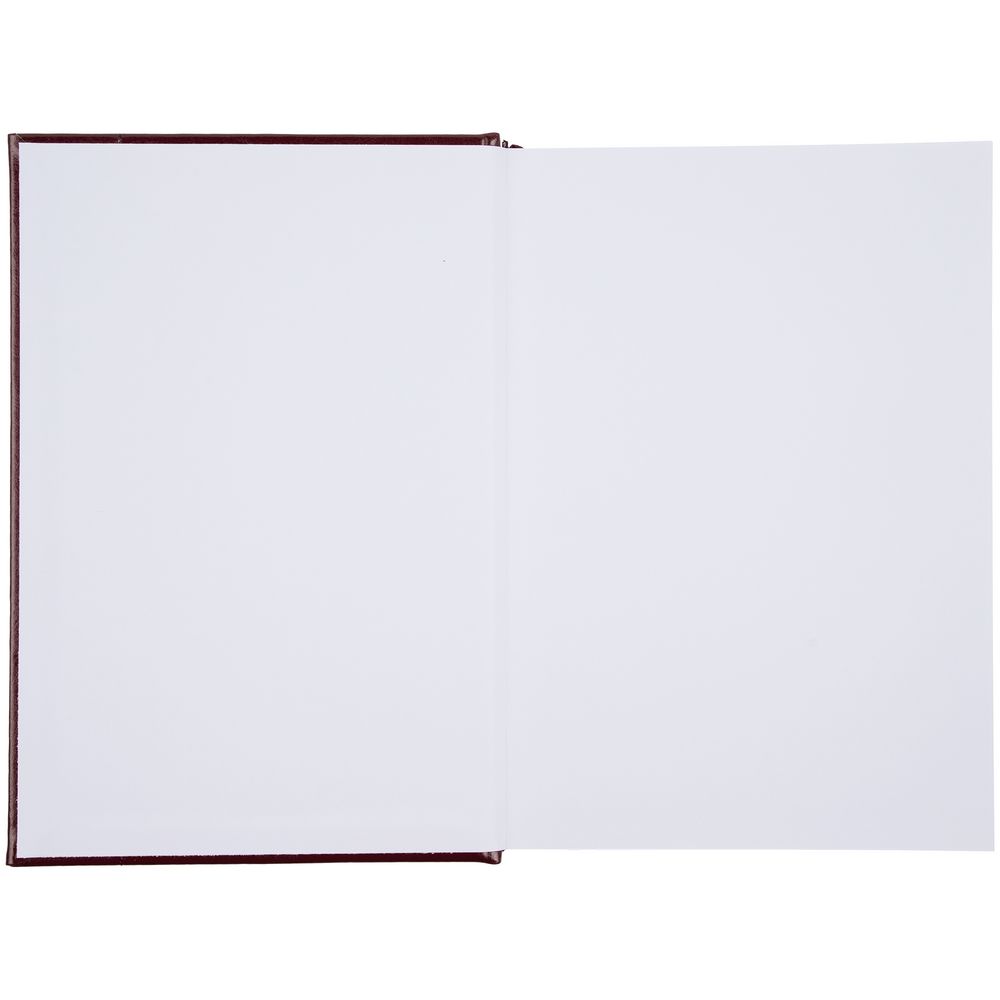 Ежедневник Baza, датированный, коричневый / Миниатюра WWW (1000)