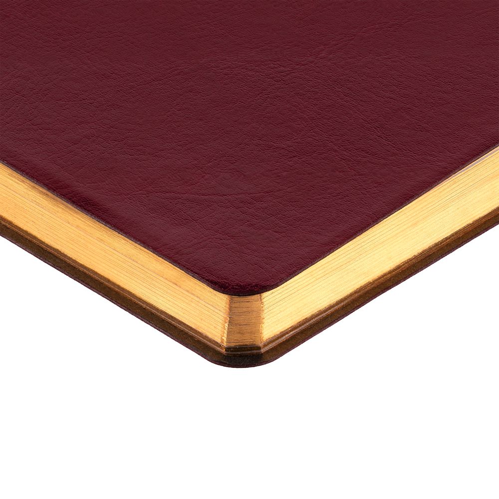 Ежедневник Nebraska Flex, недатированный, бордовый с золотистым / Миниатюра WWW (1000)