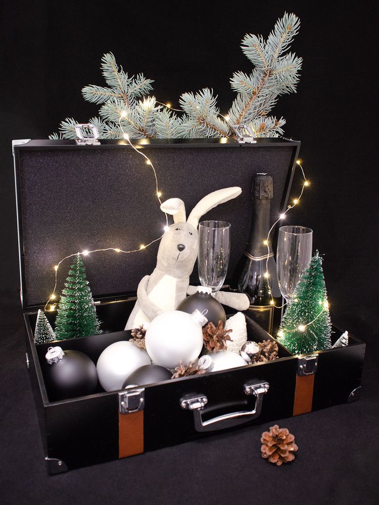 Чемодан с таймером обратного отсчета «Час Икс» / Миниатюра WWW (1000)