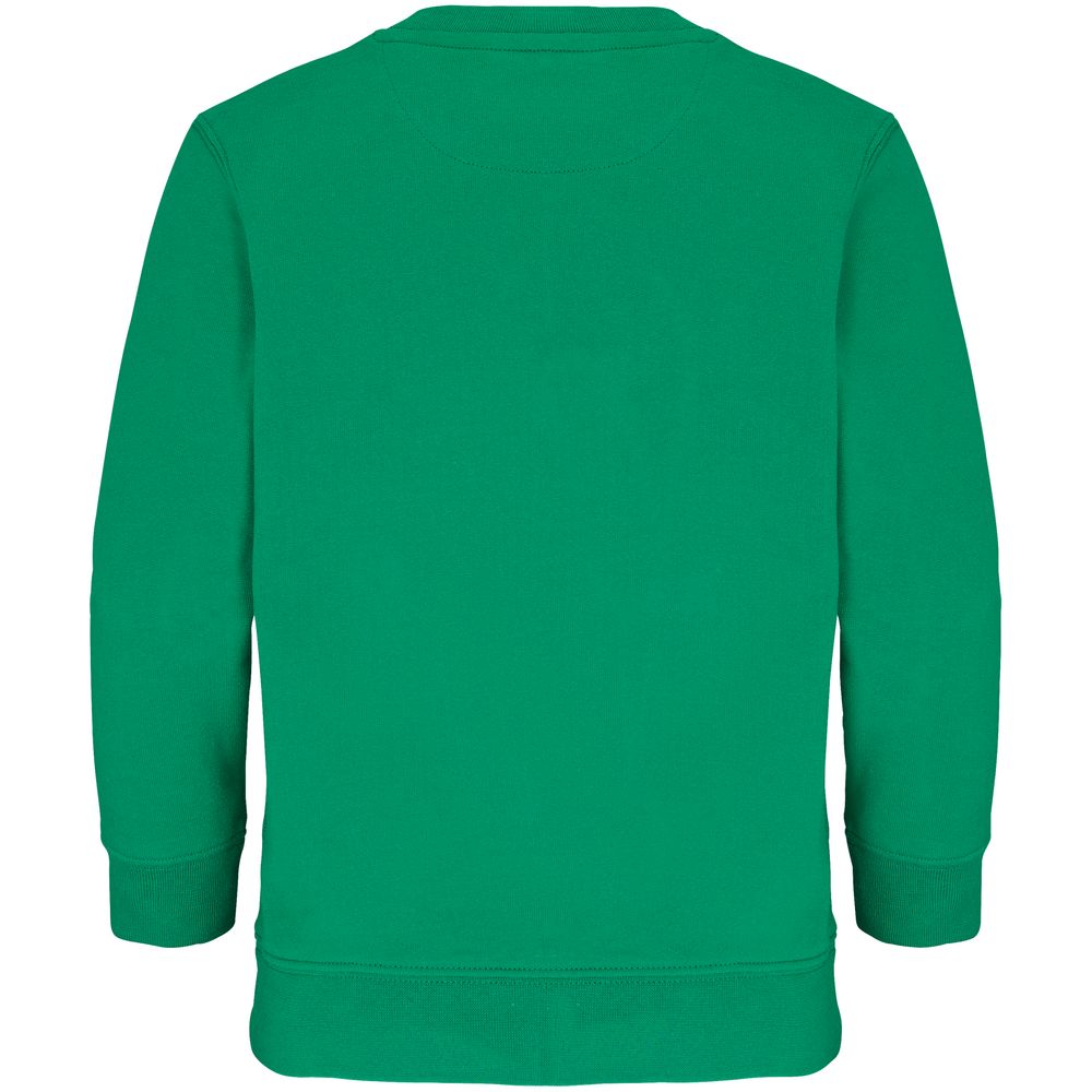 Свитшот детский Columbia Kids, ярко-зеленый / Миниатюра WWW (1000)