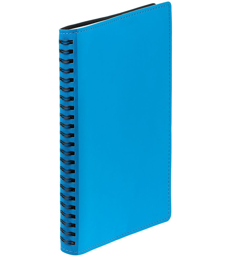 Ежедневник Spring Shall, недатированный, голубой / Миниатюра WWW (1000)