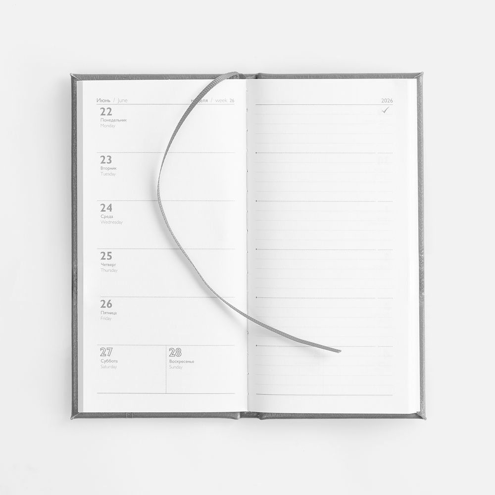 Еженедельник Baza, датированный, серый / Миниатюра WWW (1000)