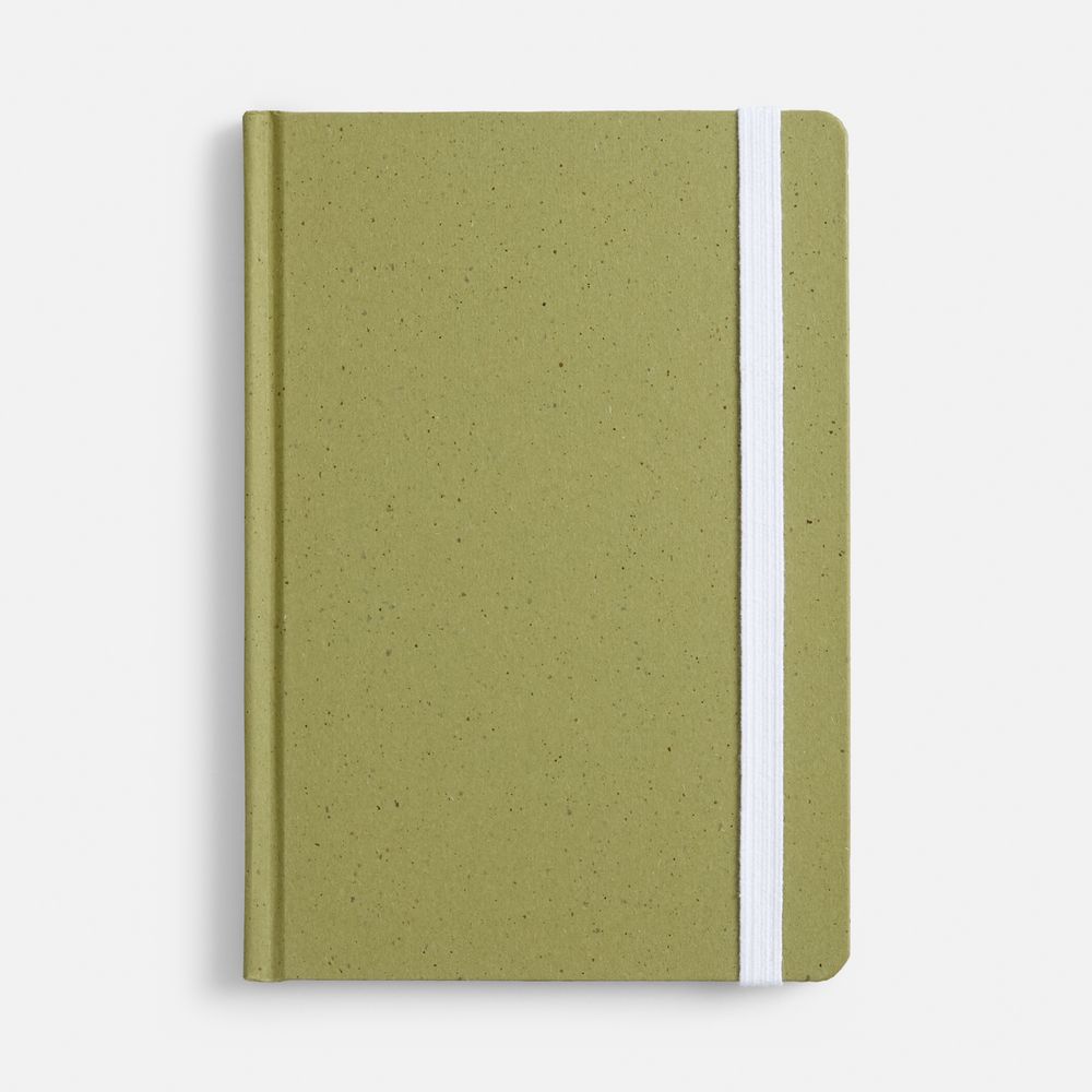 Блокнот Lactonica, зеленый / Миниатюра WWW (1000)