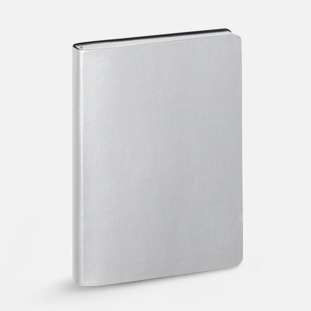 Ежедневник Nebraska Flex, недатированный, серебристый / Миниатюра WWW (1000)