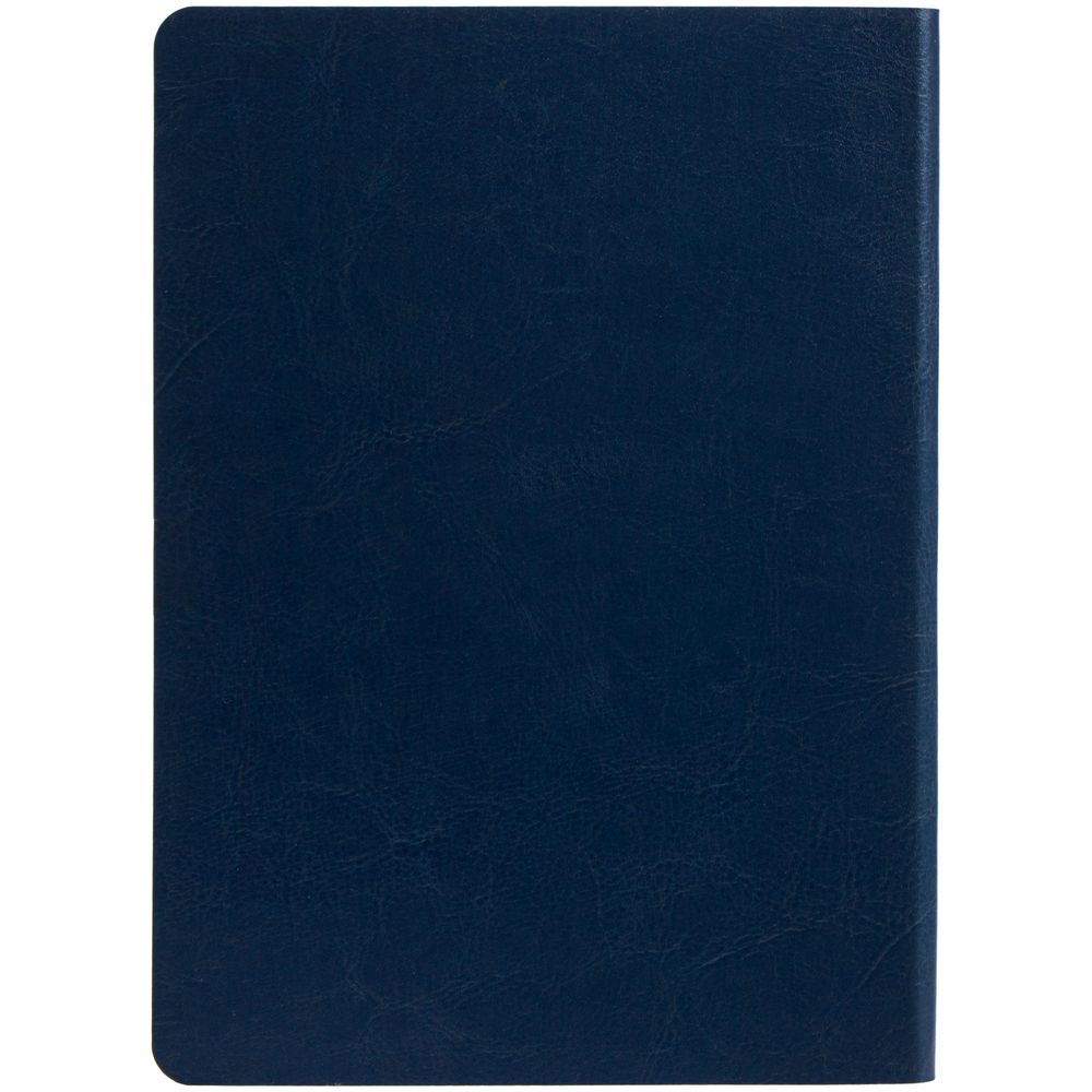 Ежедневник Nebraska Flex, недатированный, синий с серебром / Миниатюра WWW (1000)