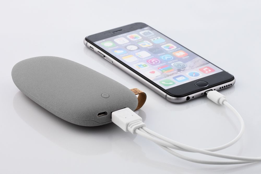 Набор «Время собирать камни», серый / Миниатюра WWW (1000)