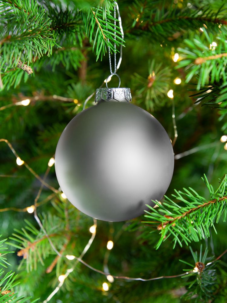 Елочный шар Finery Matt, 8 см, матовый серебристый / Миниатюра WWW (1000)
