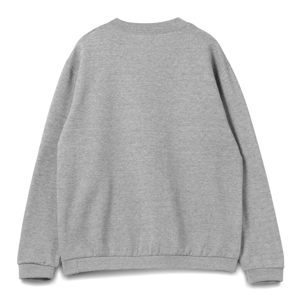 Толстовка Spider 260, серый меланж / Миниатюра WWW (1000)