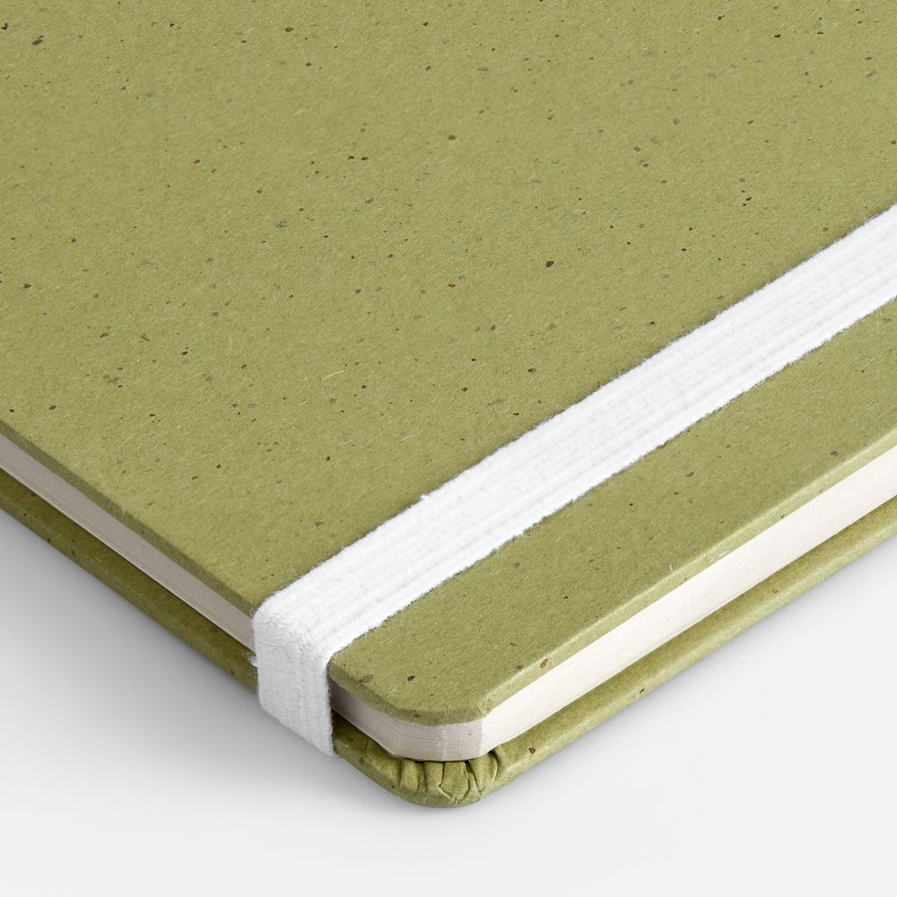 Блокнот Lactonica, зеленый / Миниатюра WWW (1000)