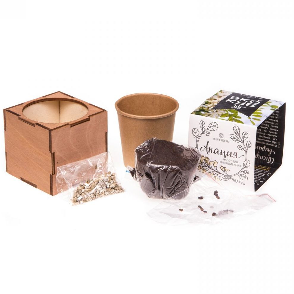 Набор для выращивания «Экокуб Lite», акация / Миниатюра WWW (1000)