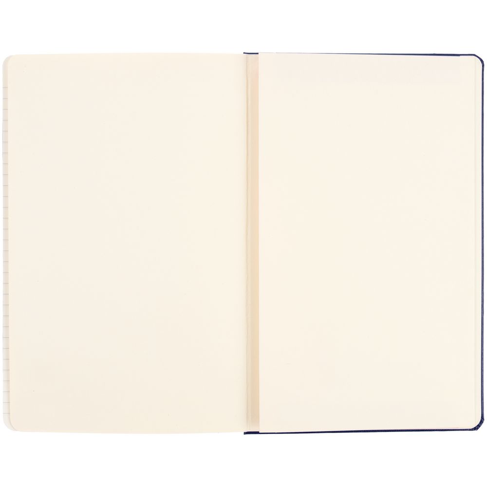 Записная книжка Moleskine Classic Large, в клетку, синяя / Миниатюра WWW (1000)