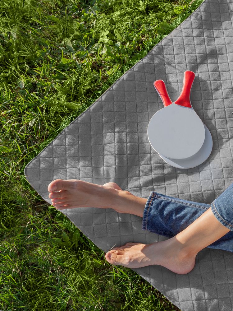 Плед для пикника Soft & Dry, серый / Миниатюра WWW (1000)