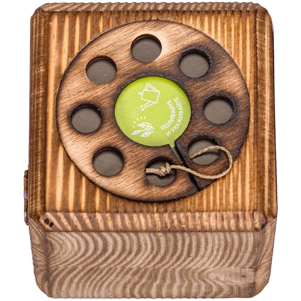 Набор для выращивания с органайзером «Экокуб Burn», акация / Миниатюра WWW (1000)