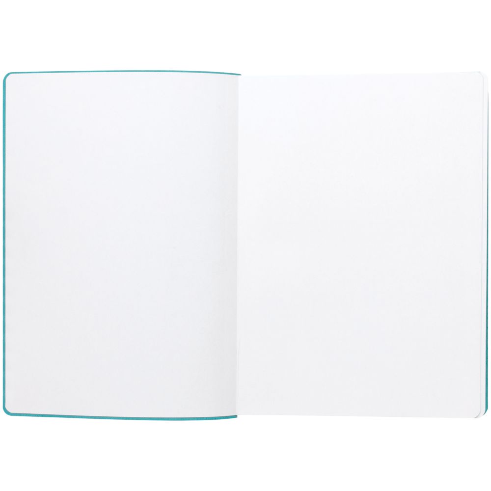 Ежедневник Flexpen, недатированный, серебристо-бирюзовый / Миниатюра WWW (1000)