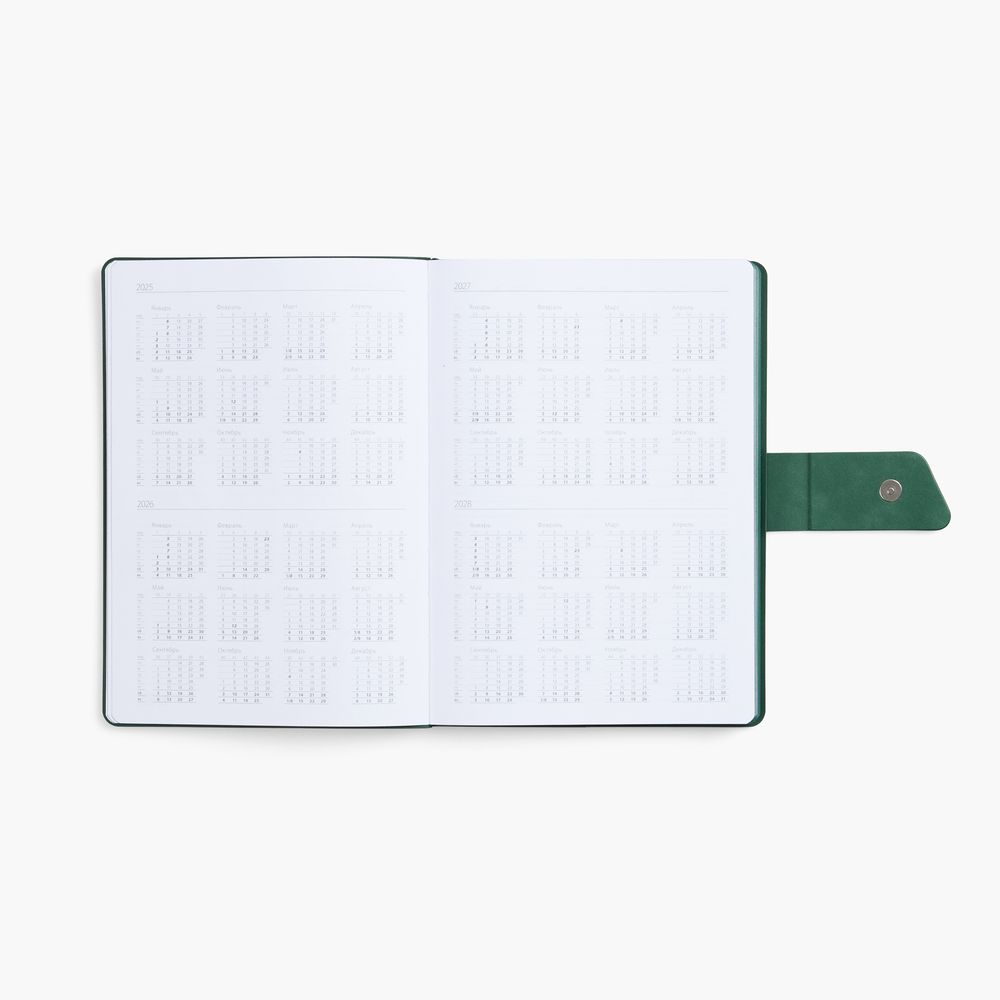 Ежедневник Boom, недатированный, черный с зеленым / Миниатюра WWW (1000)