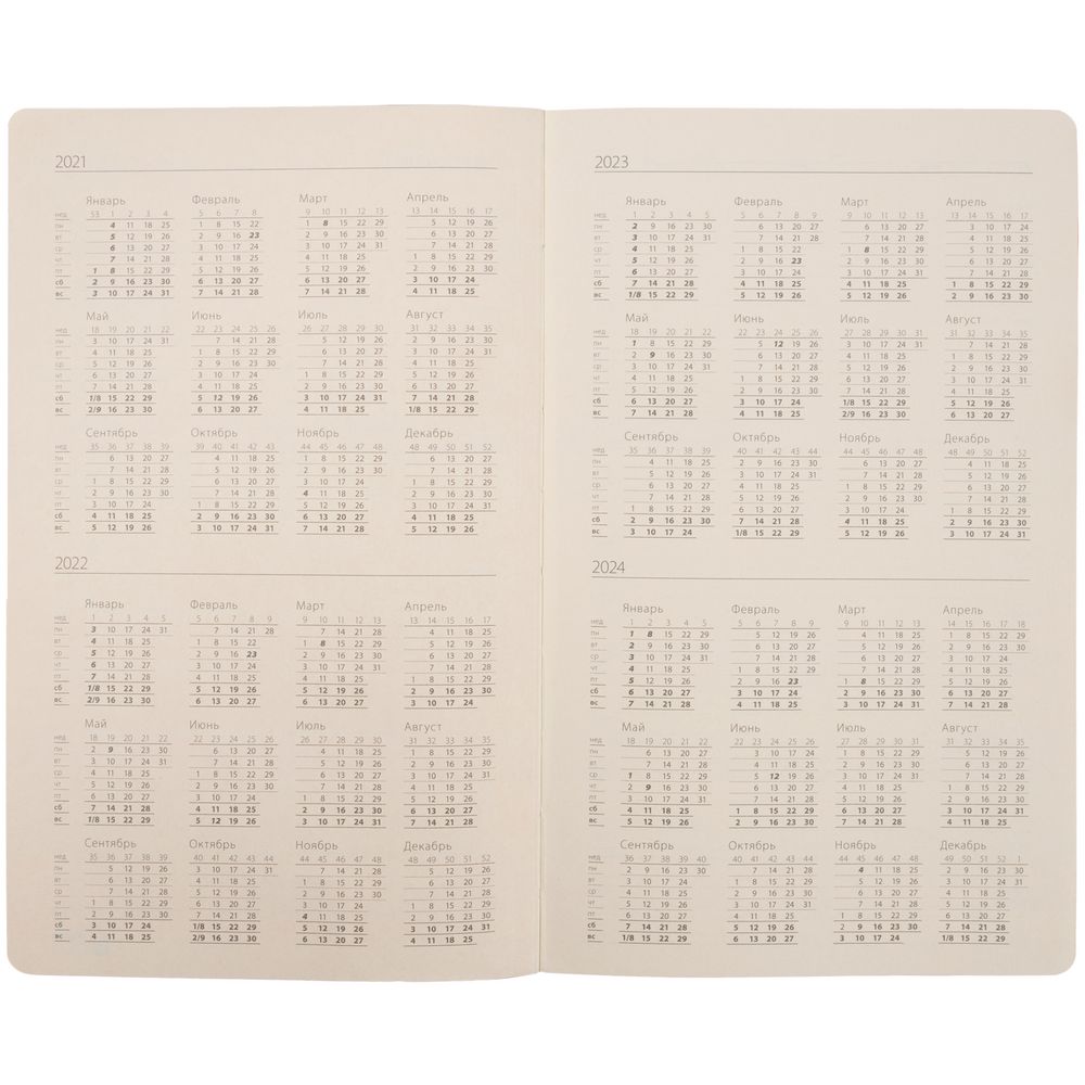 Ежедневник Ton Metal, недатированный, черный с синим / Миниатюра WWW (1000)