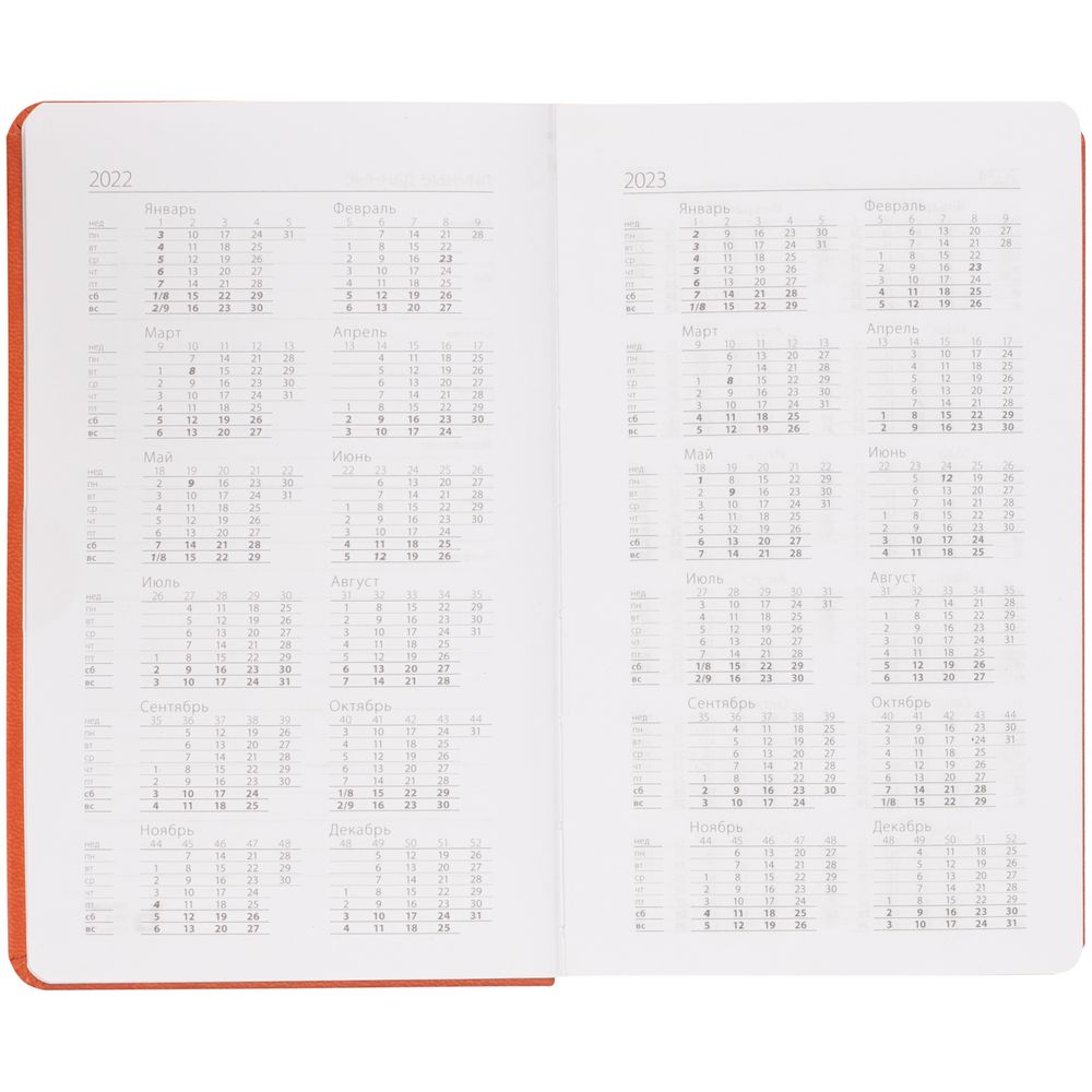 Ежедневник Basis Mini, недатированный, оранжевый / Миниатюра WWW (1000)