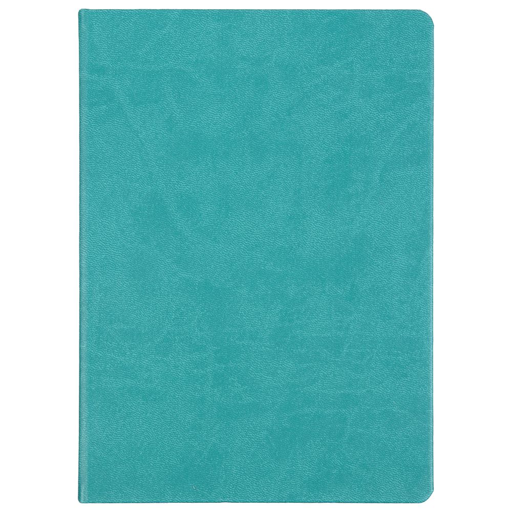 Ежедневник Basis, датированный, бирюзовый / Миниатюра WWW (1000)