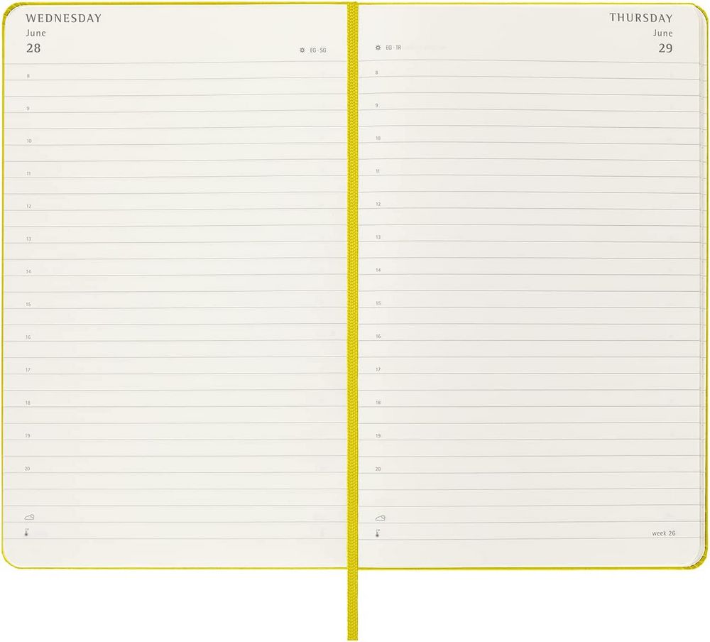 Ежедневник Moleskine Classic Large, датированный, желто-зеленый (лайм) / Миниатюра WWW (1000)