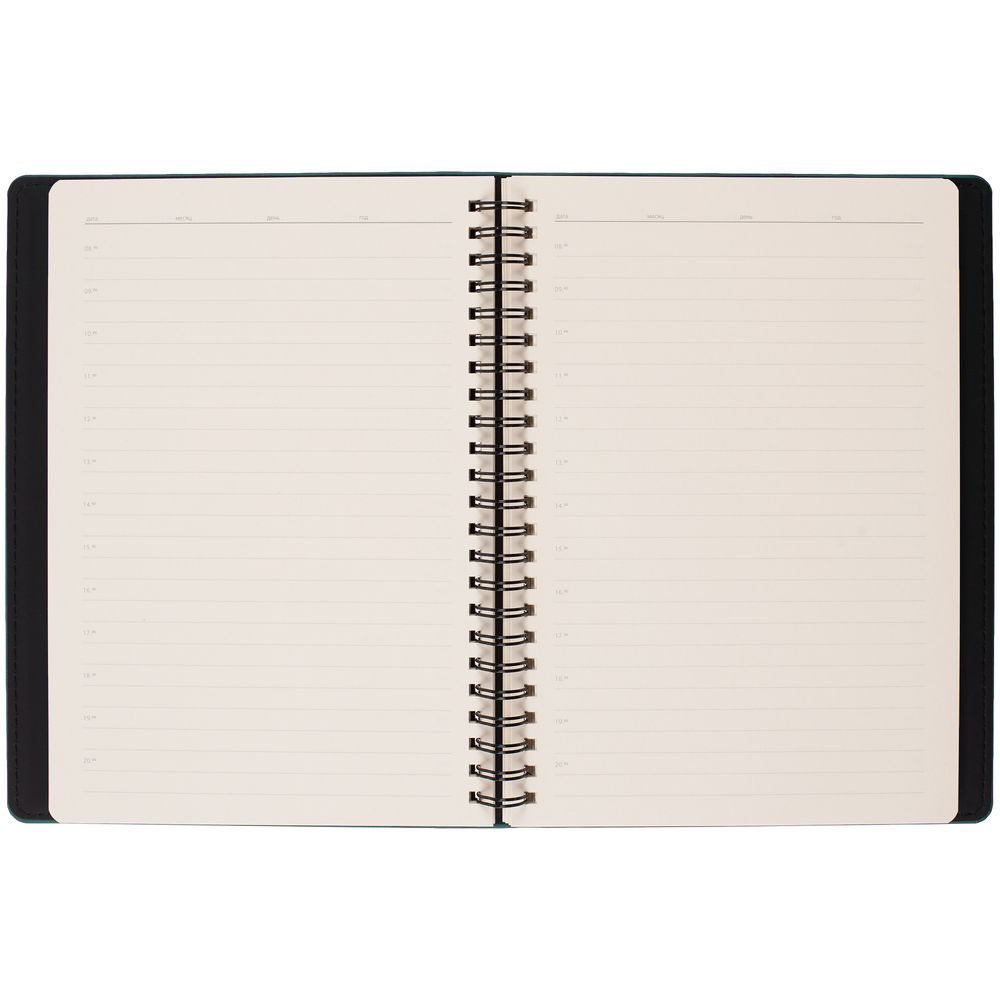 Ежедневник Spring Urban, недатированный, изумрудный / Миниатюра WWW (1000)