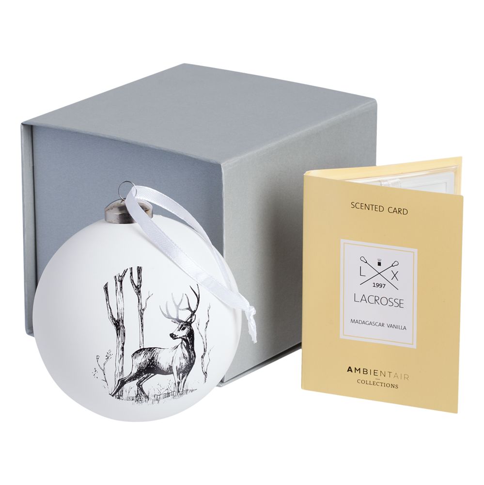 Коробка Alian, серебристая / Миниатюра WWW (1000)