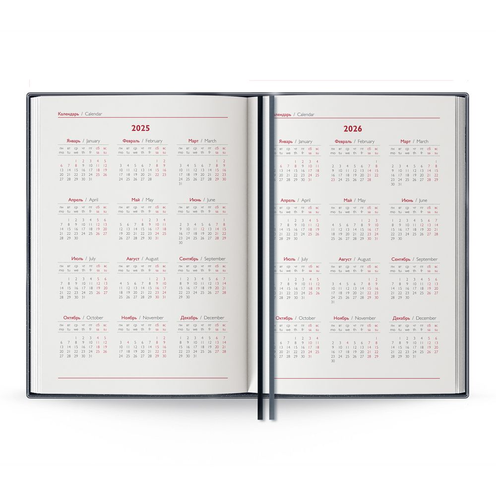 Ежедневник Merida, датированный, синий / Миниатюра WWW (1000)