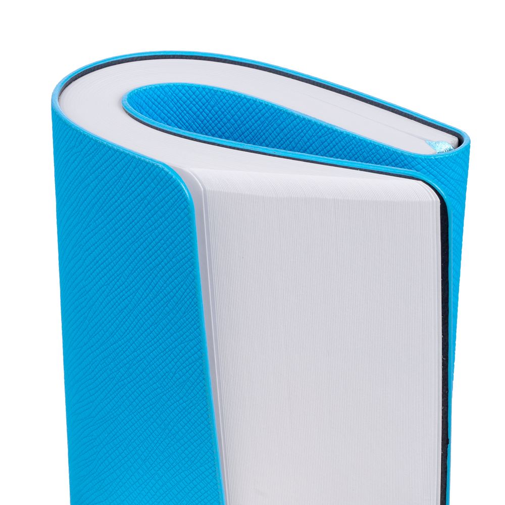 Ежедневник Costar, недатированный, голубой / Миниатюра WWW (1000)