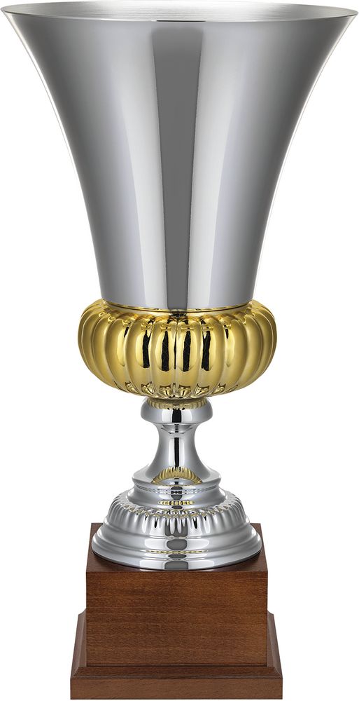 Кубок Erfolg, серебристый / Миниатюра WWW (1000)