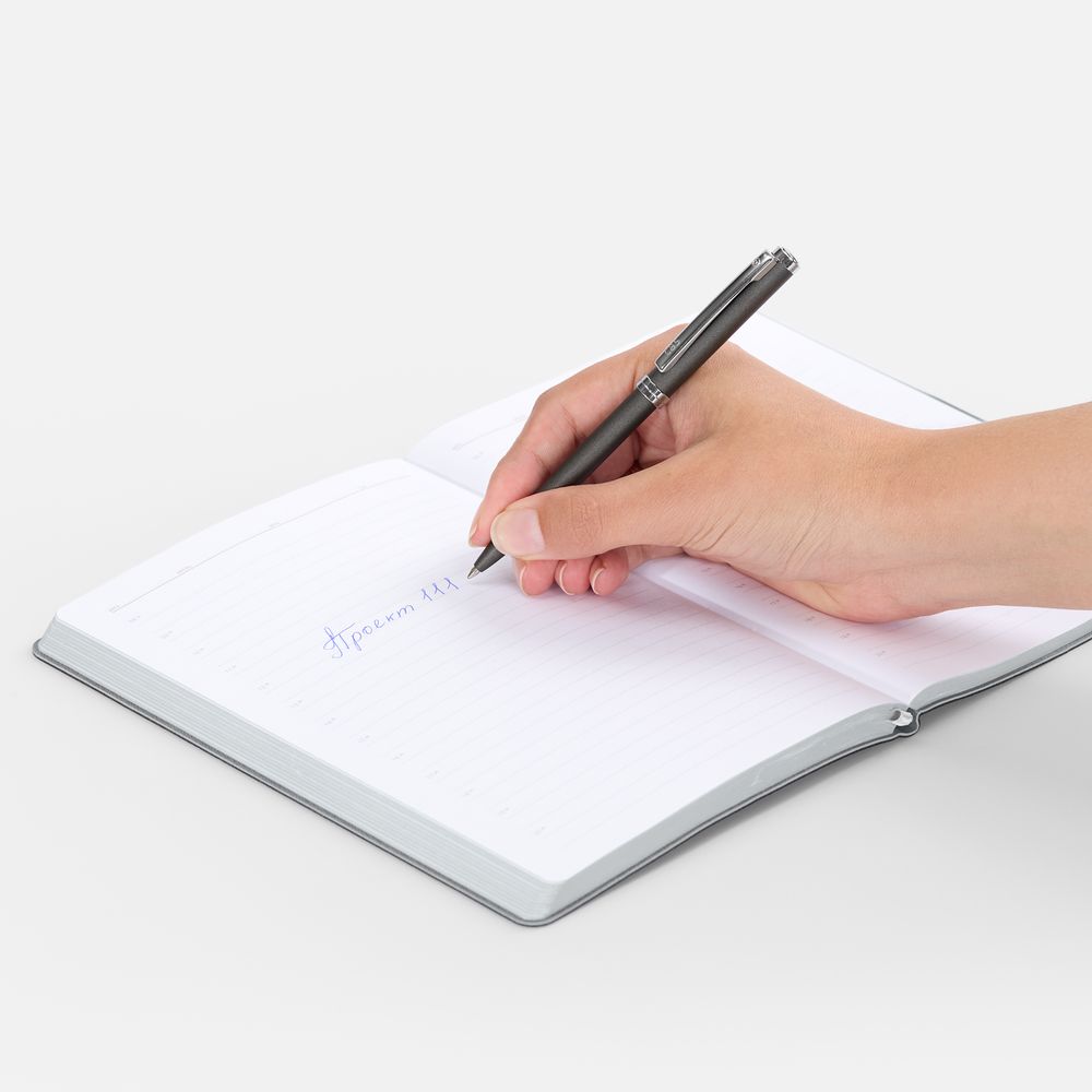 Ручка шариковая Delgado, серая / Миниатюра WWW (1000)