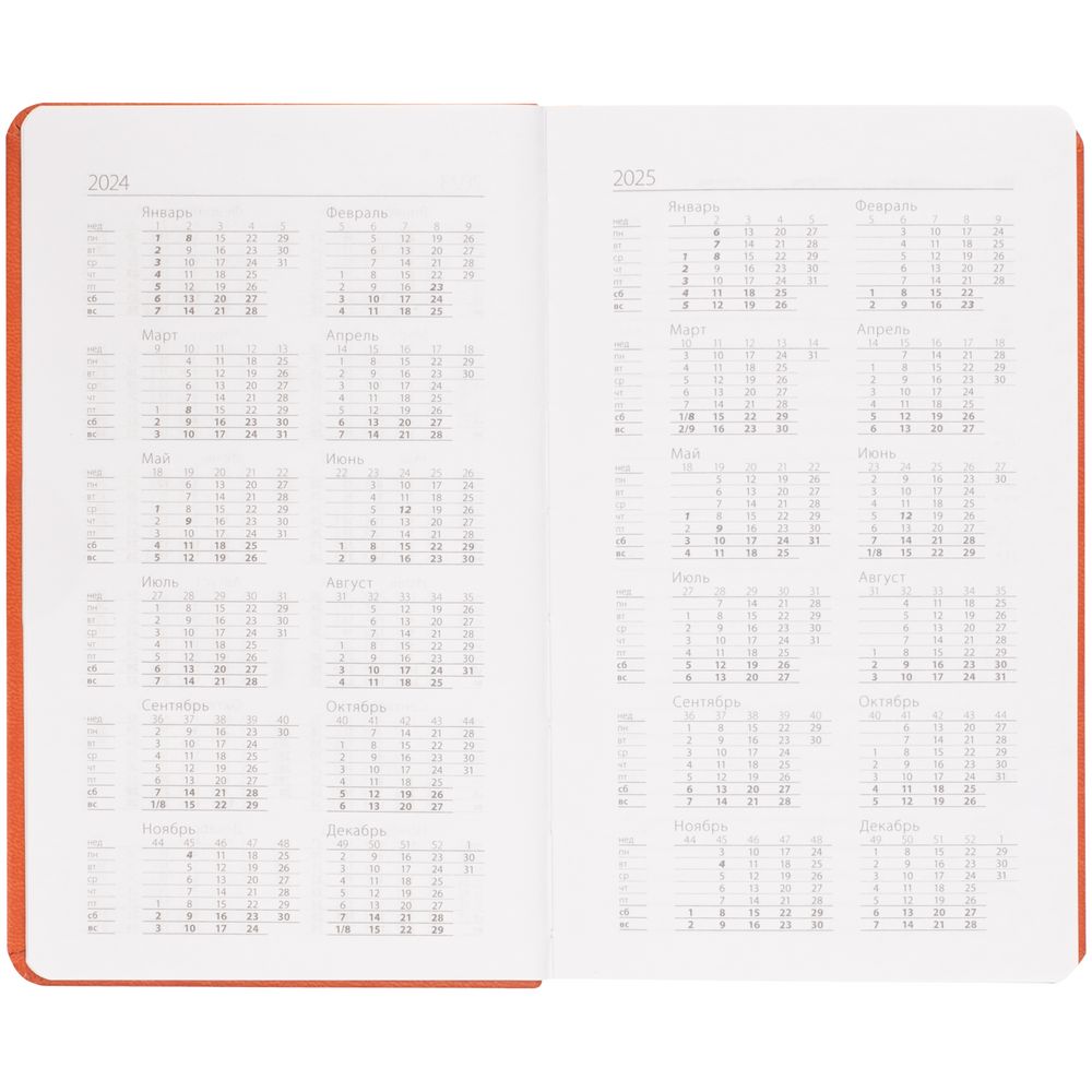 Ежедневник Basis Mini, недатированный, оранжевый / Миниатюра WWW (1000)