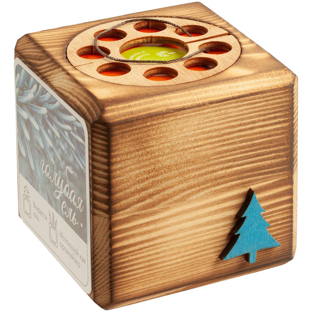 Набор для выращивания с органайзером «Экокуб Burn», ель голубая / Миниатюра WWW (1000)