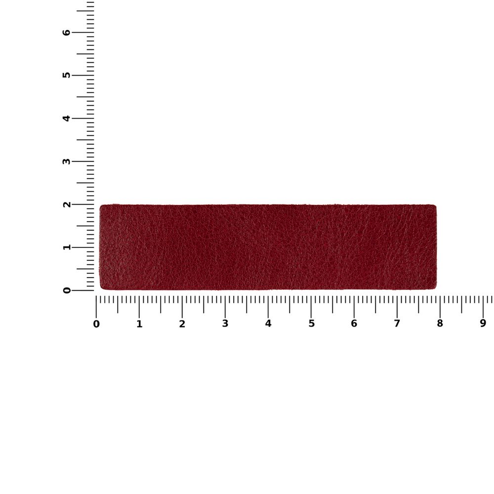 Лейбл кожаный Pasek, красный / Миниатюра WWW (1000)