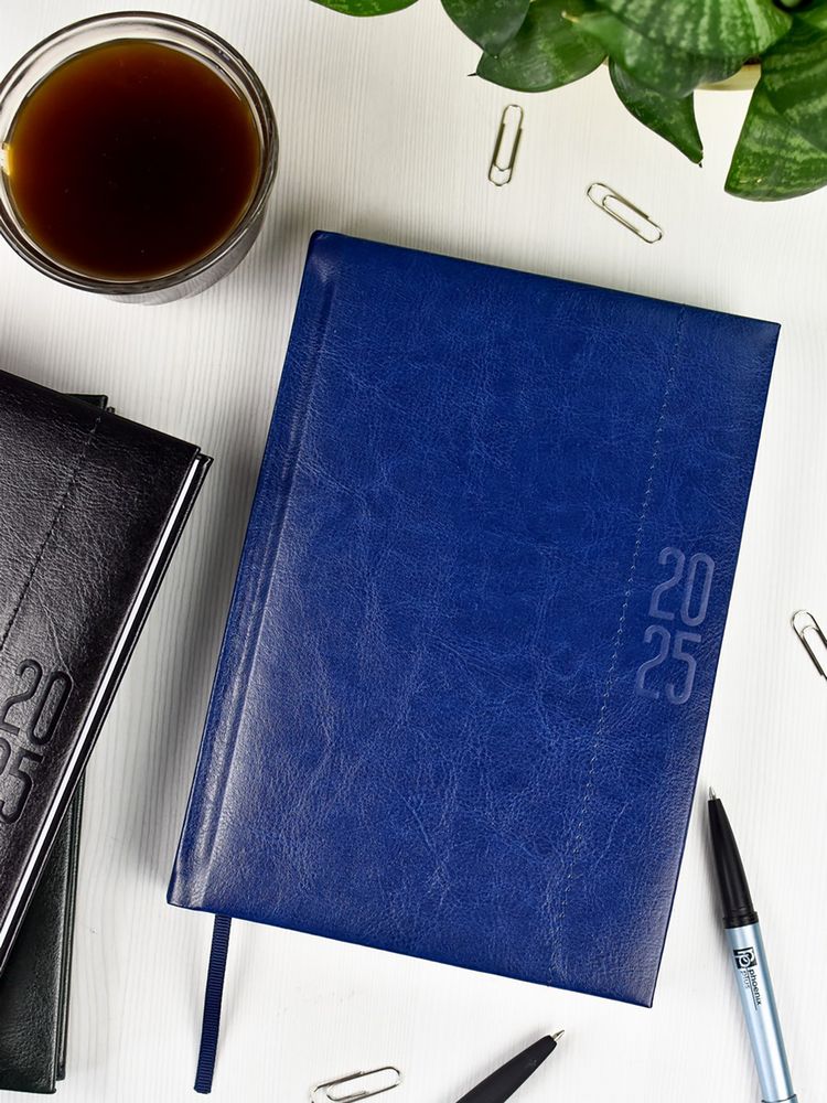 Ежедневник Baza, датированный, синий / Миниатюра WWW (1000)