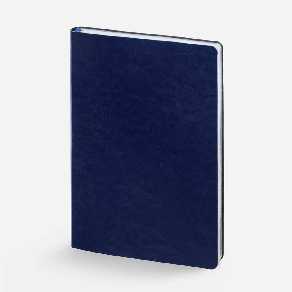 Ежедневник Nebraska Flex, недатированный, синий с серебром / Миниатюра WWW (1000)