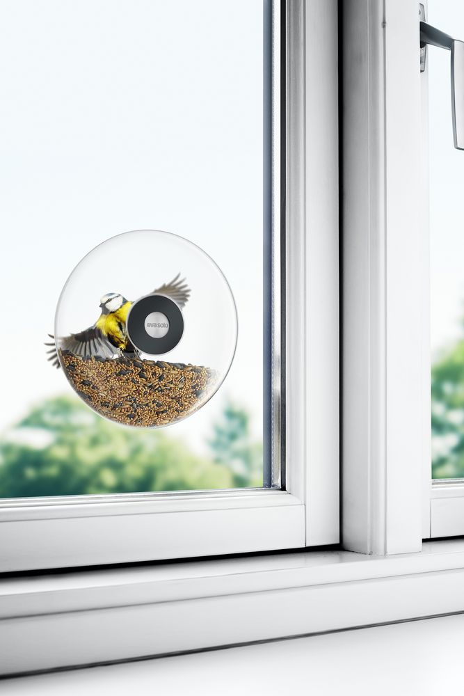 Кормушка для птиц Window Bird Feeder, прозрачная, большая / Миниатюра WWW (1000)
