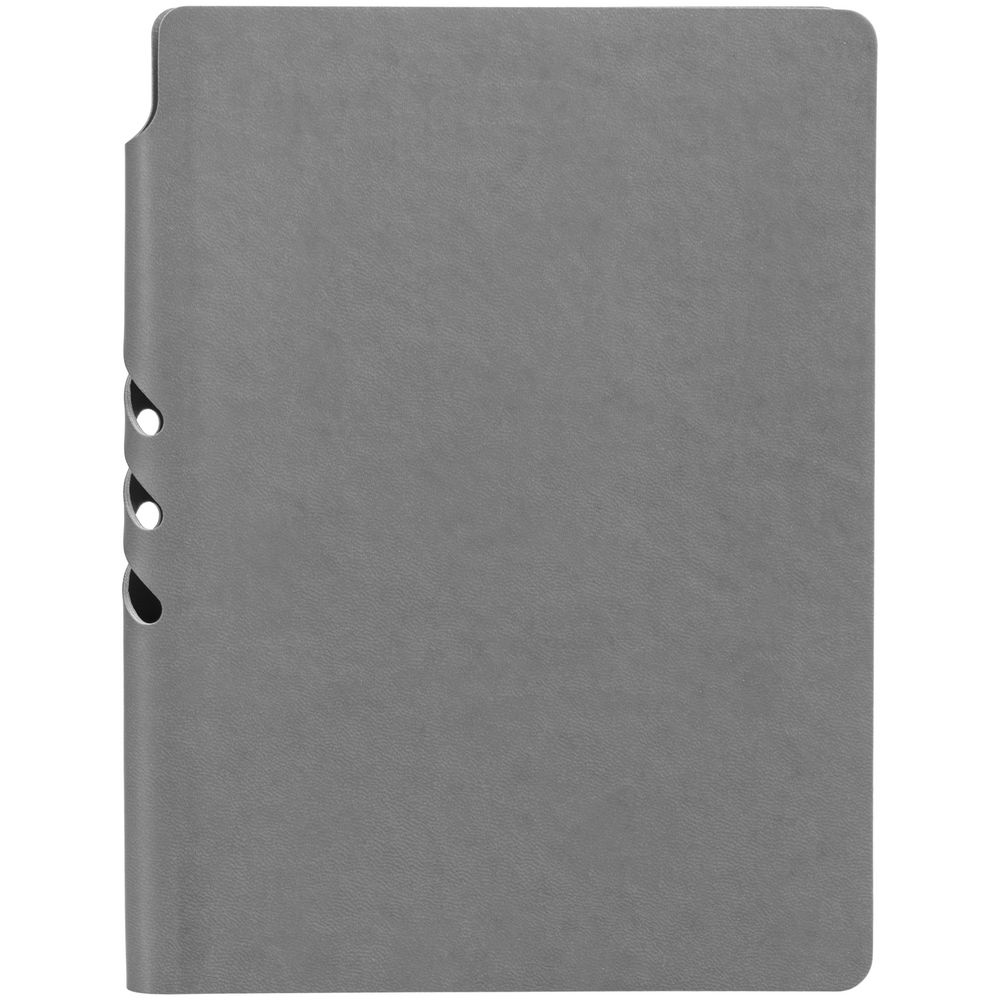 Ежедневник Flexpen Color, датированный, серый / Миниатюра WWW (1000)