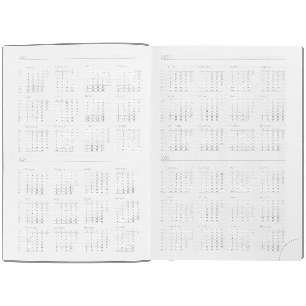 Ежедневник Time, датированный, серый / Миниатюра WWW (1000)