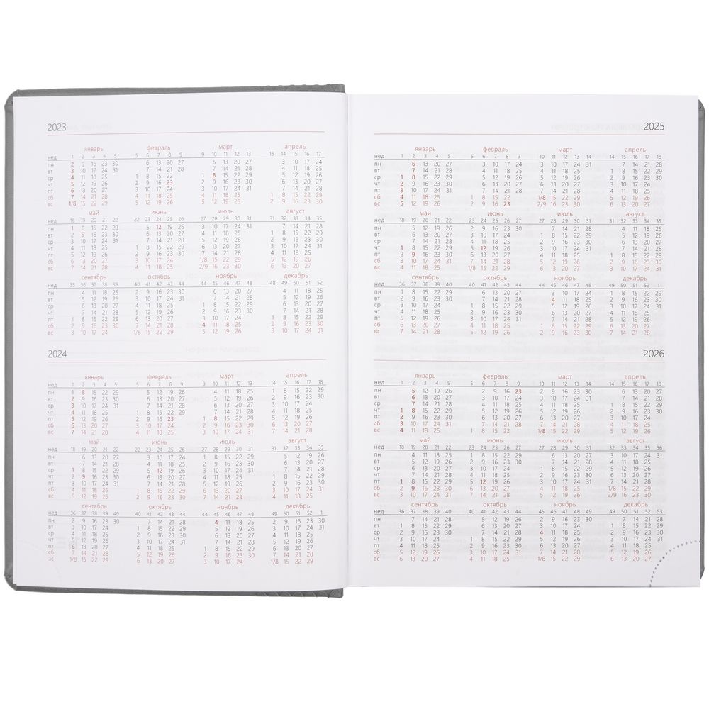 Ежедневник Brand, недатированный, серый / Миниатюра WWW (1000)