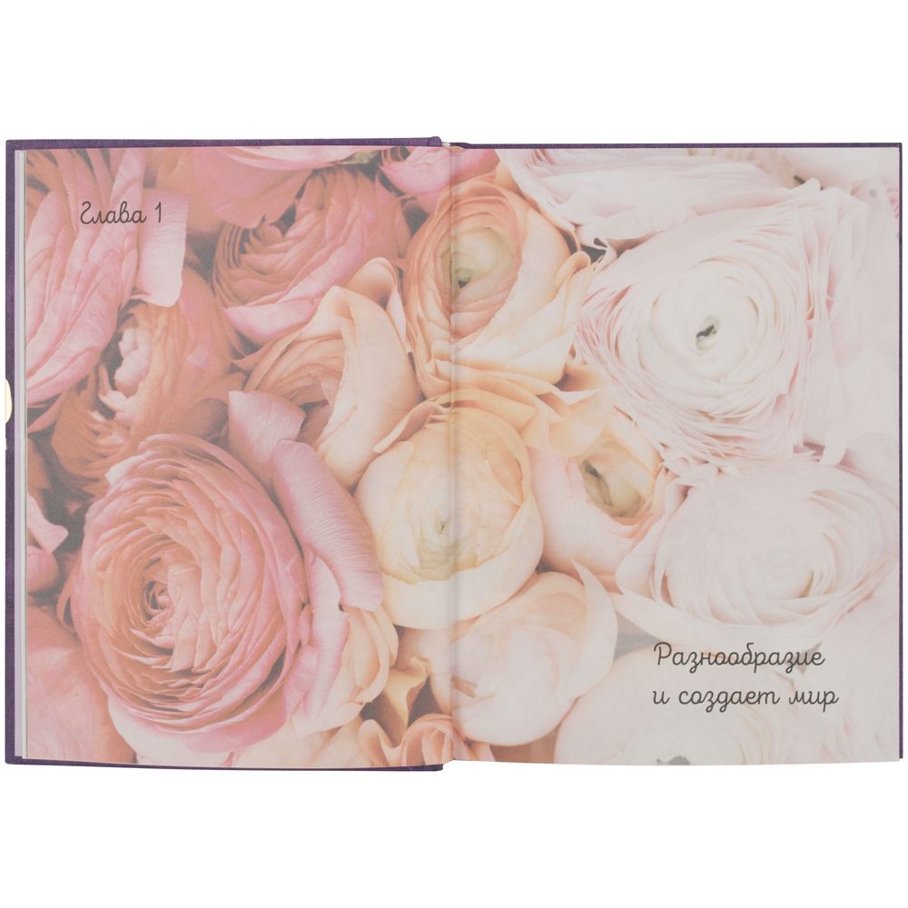 Книга «Joie de vivre. Секреты счастья по-французски» / Миниатюра WWW (1000)