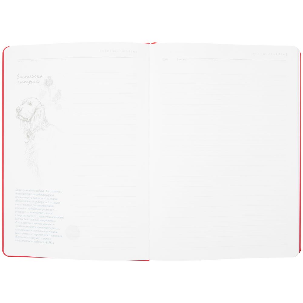 Ежедневник «История изобретений», недатированный, красный / Миниатюра WWW (1000)