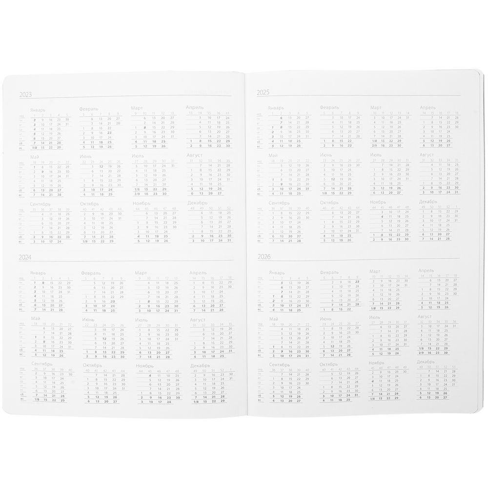 Ежедневник Flexpen, недатированный, серебристо-красный / Миниатюра WWW (1000)