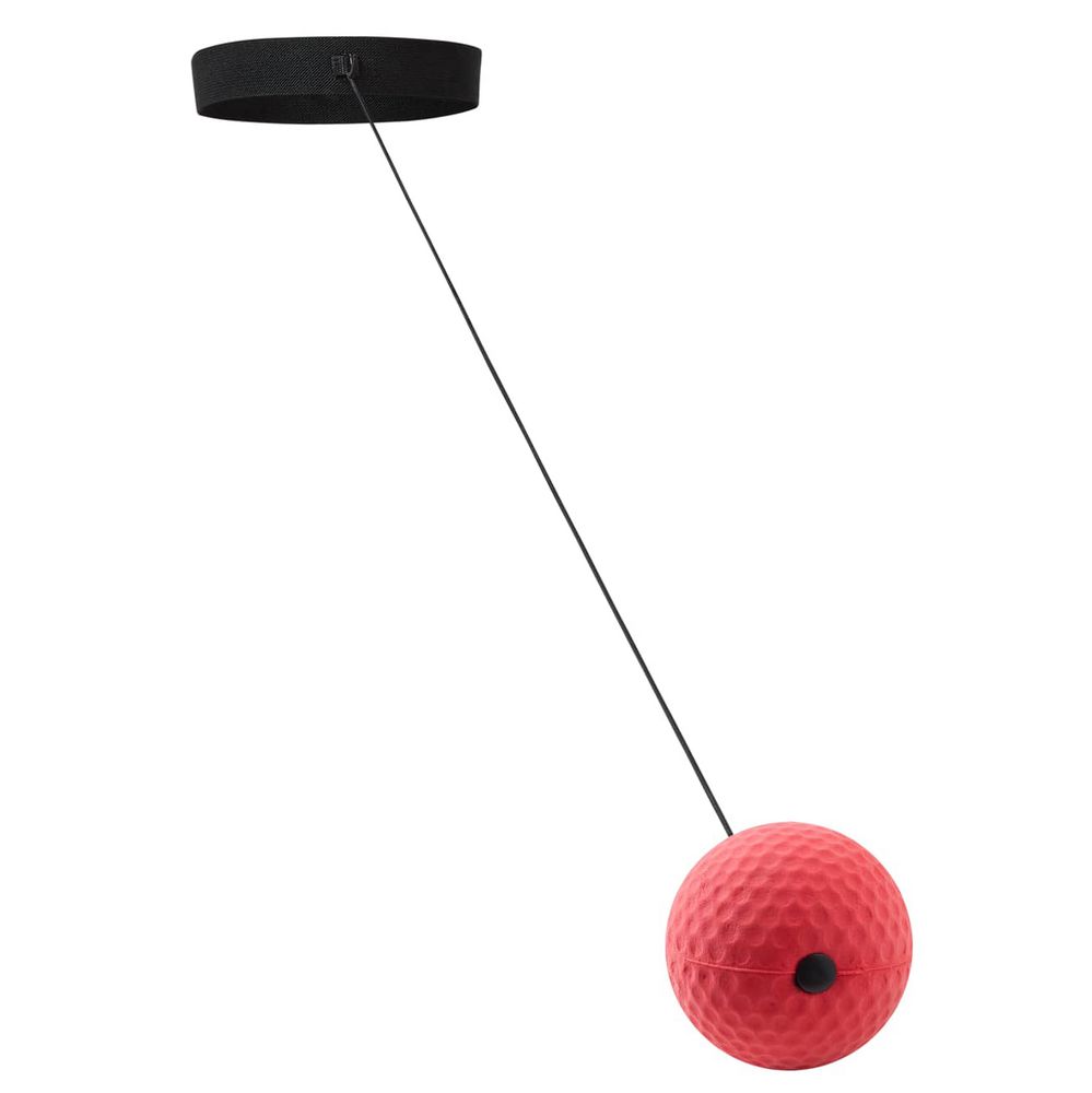 Мяч для бокса Sparring, красный / Миниатюра WWW (1000)