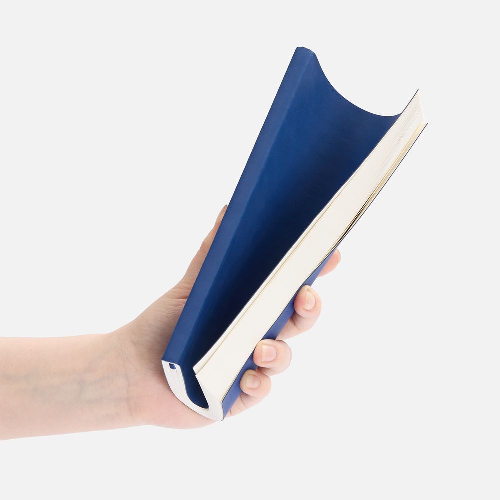 Ежедневник Flat Light ver.2, недатированный, синий / Миниатюра WWW (1000)