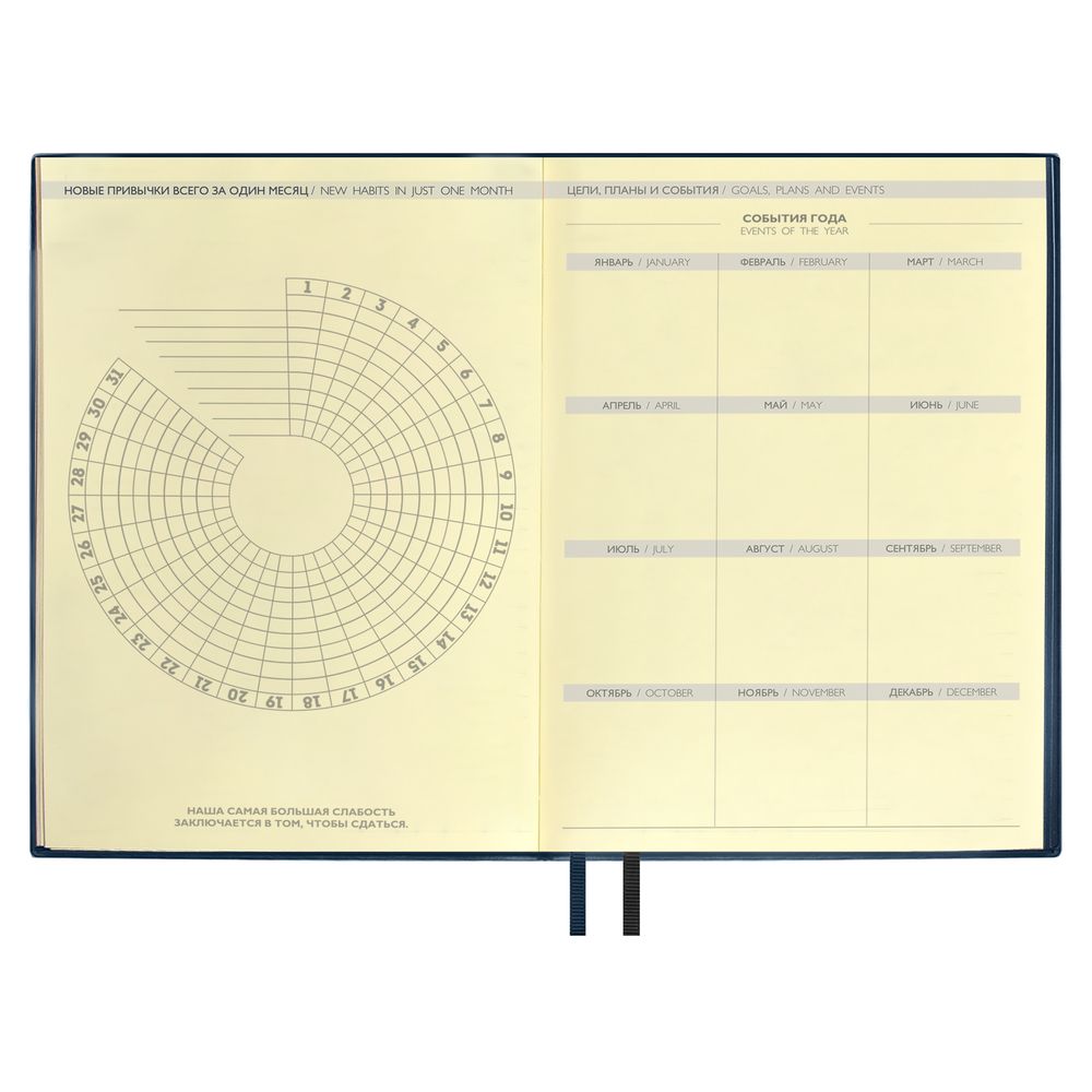 Ежедневник Avila, недатированный, синий / Миниатюра WWW (1000)