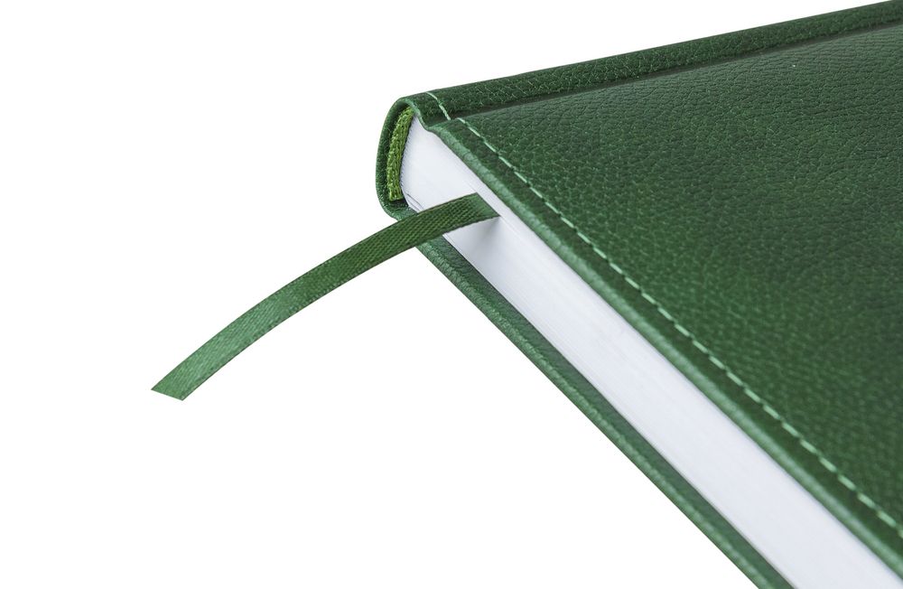 Ежедневник Sagrin, недатированный, зеленый / Миниатюра WWW (1000)