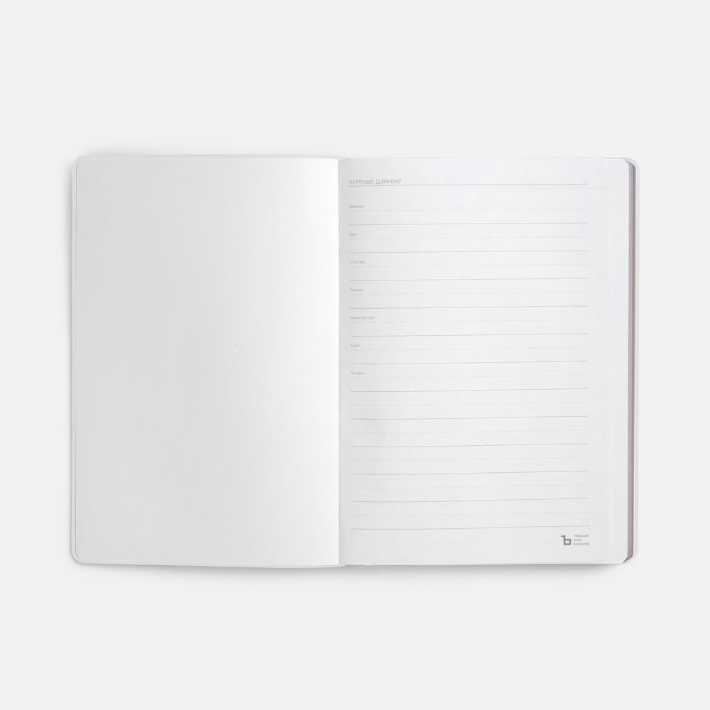 Ежедневник Nebraska Flex, недатированный, белый с золотистым / Миниатюра WWW (1000)