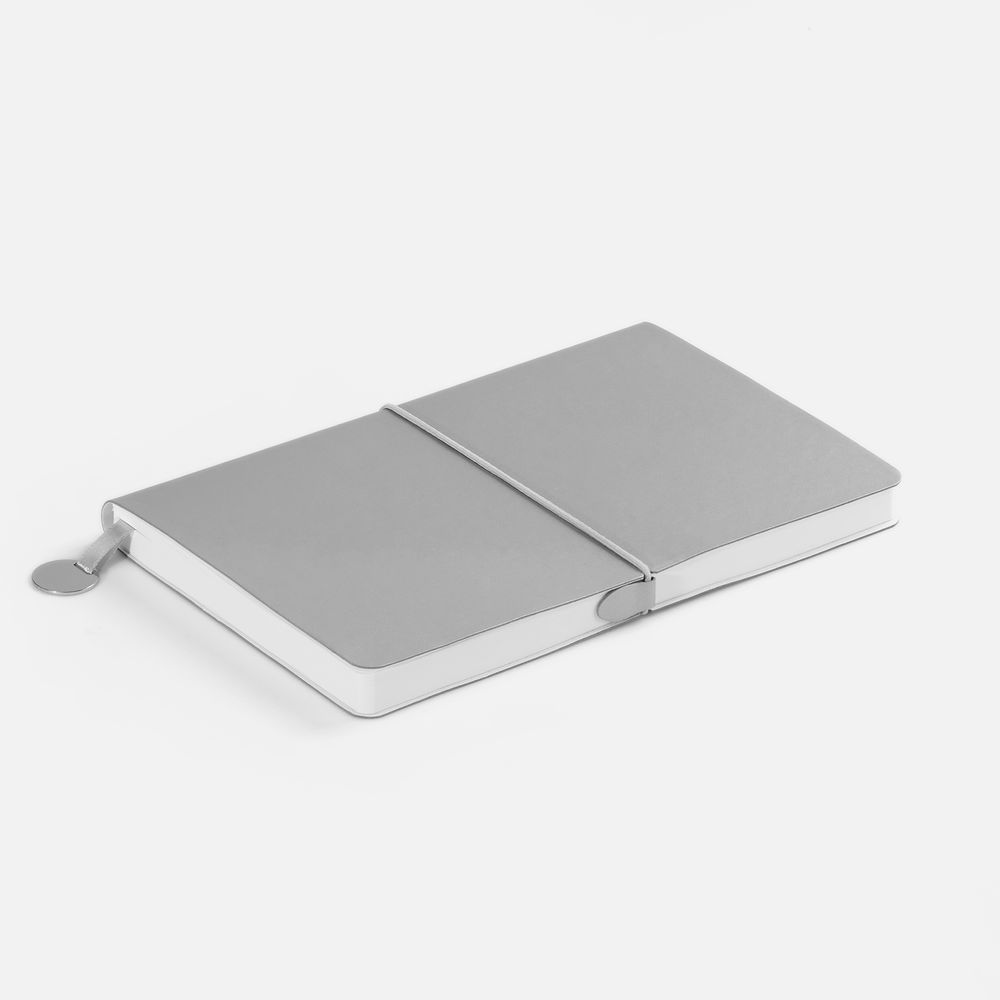 Ежедневник Waltz, недатированный, серебристый / Миниатюра WWW (1000)