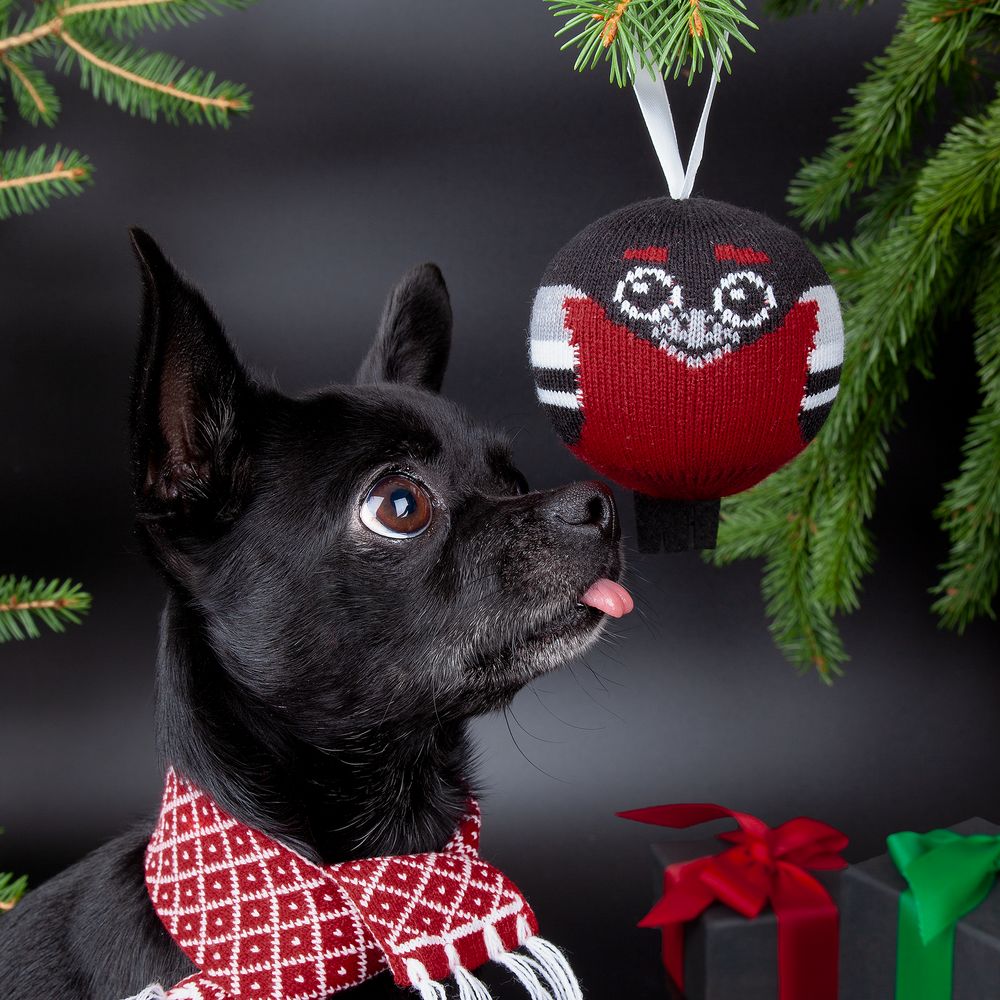 Елочный шар «Снегирь» / Миниатюра WWW (1000)